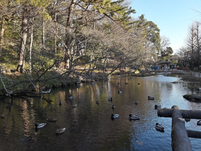 2018-01-10 15.06.59.jpg