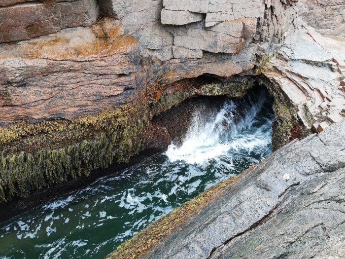 2018-09-19 15.00.22.jpg